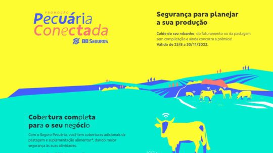 pecuária-conectada-bb-seguros