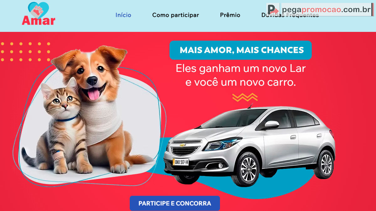 animais resgatados amar