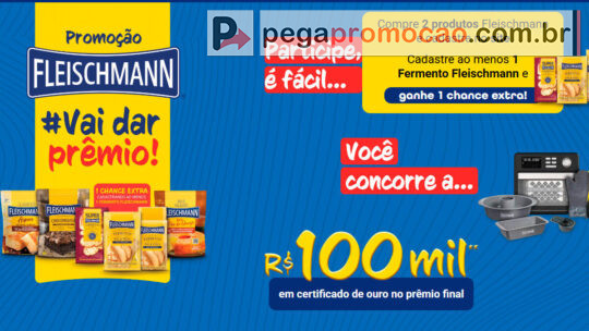 Fleischmann Promoção