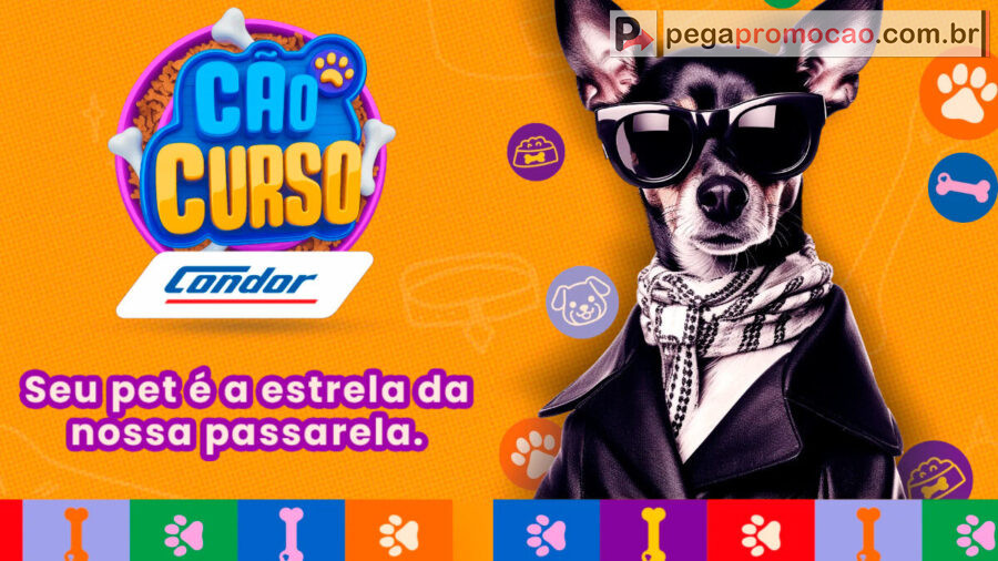 Promoção Pet Condor: Cãocurso 
