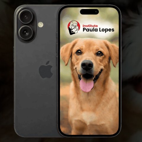 Banner quadrado da Promoção Doar Faz Bem Instituto Paula Lopes